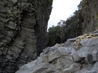 cantara gole23122011 040